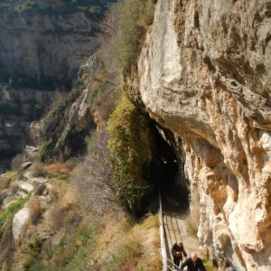 Cueva de Sant Miquel1